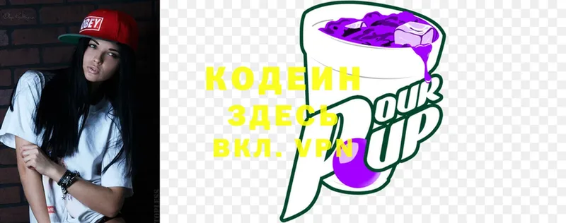 купить наркотик  Новомичуринск  MEGA ссылки  Кодеиновый сироп Lean Purple Drank 